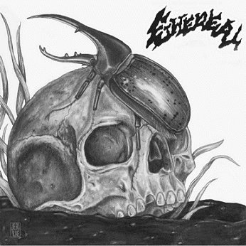 Ethereal (USA) : Ethereal